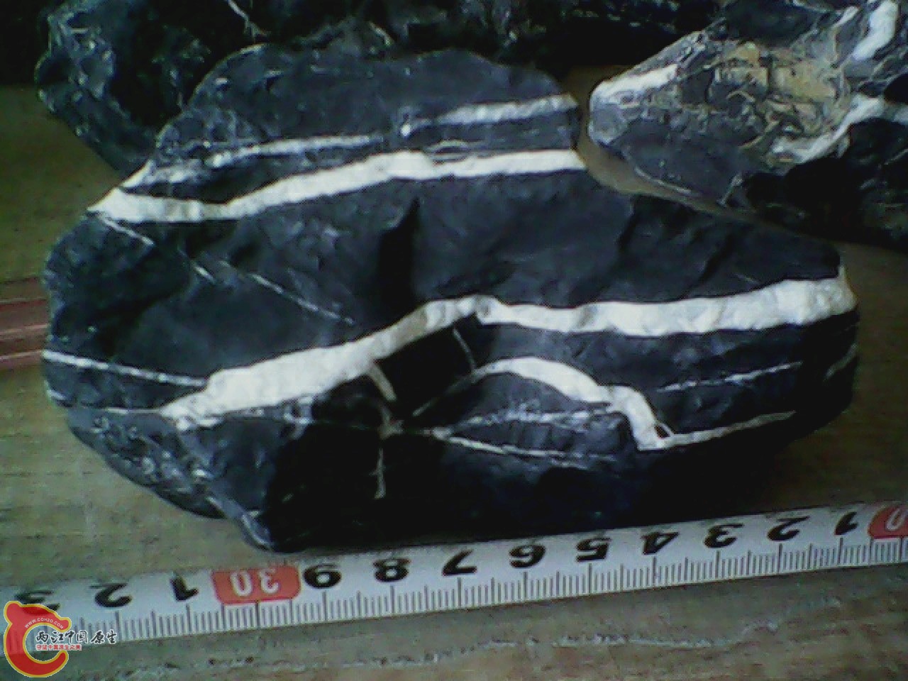 img0702_080849046.jpg