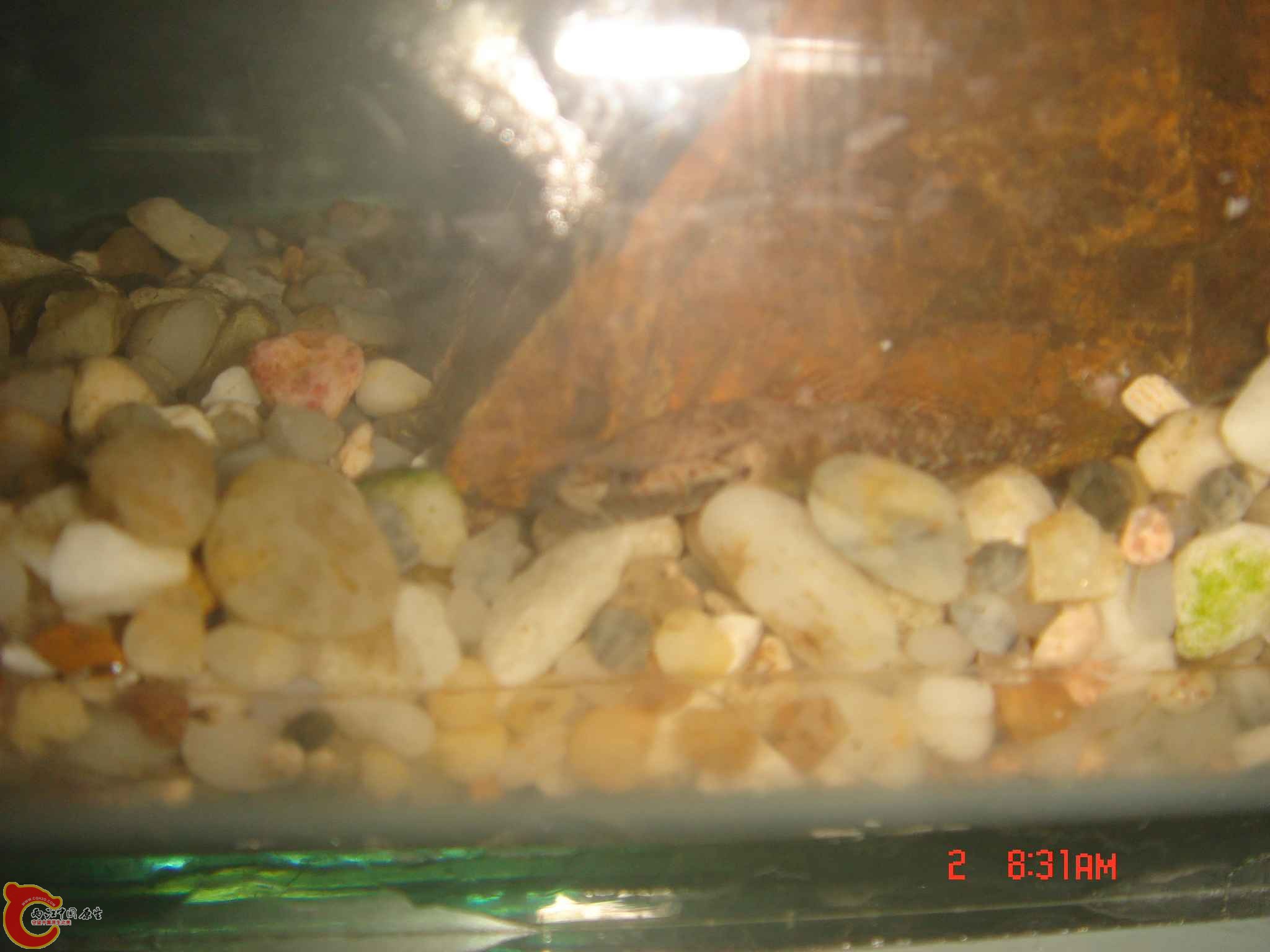 DSC06722.JPG