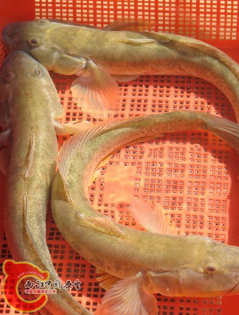 QQ截图20120711221024.jpg