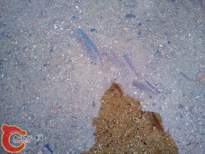 2012-07-13 08.11.07_副本.jpg