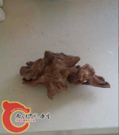 IMAG0256.jpg