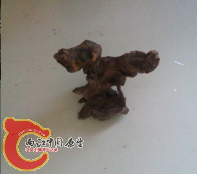 IMAG0257.jpg