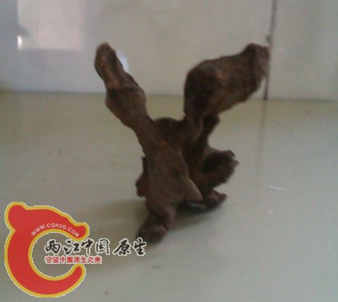 IMAG0258.jpg