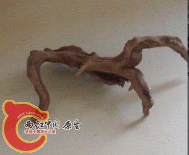 IMAG0261.jpg