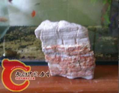 IMAG0262.jpg