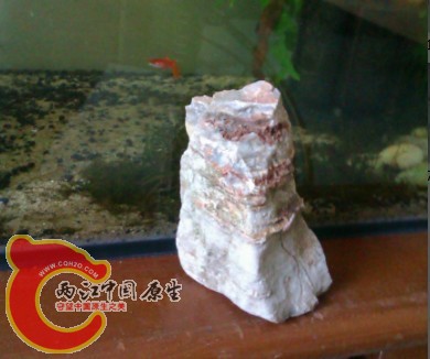 IMAG0263.jpg