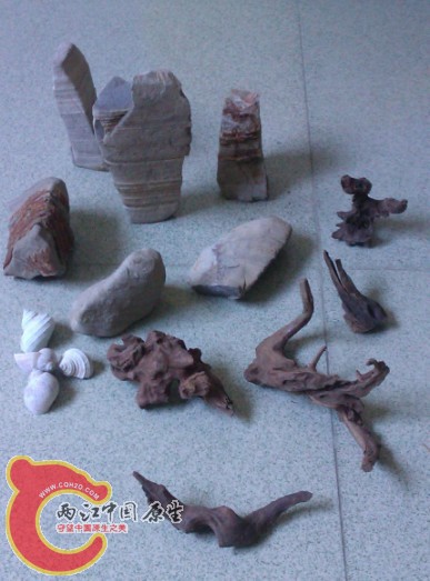 IMAG0267.jpg