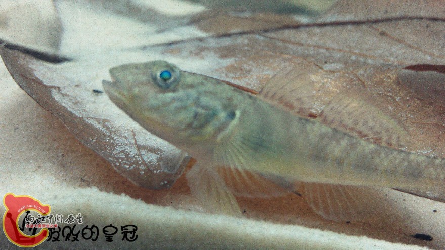 06.jpg