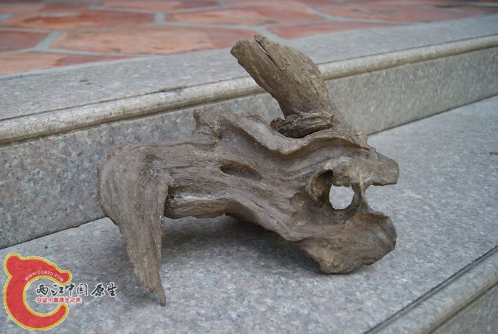 06.jpg