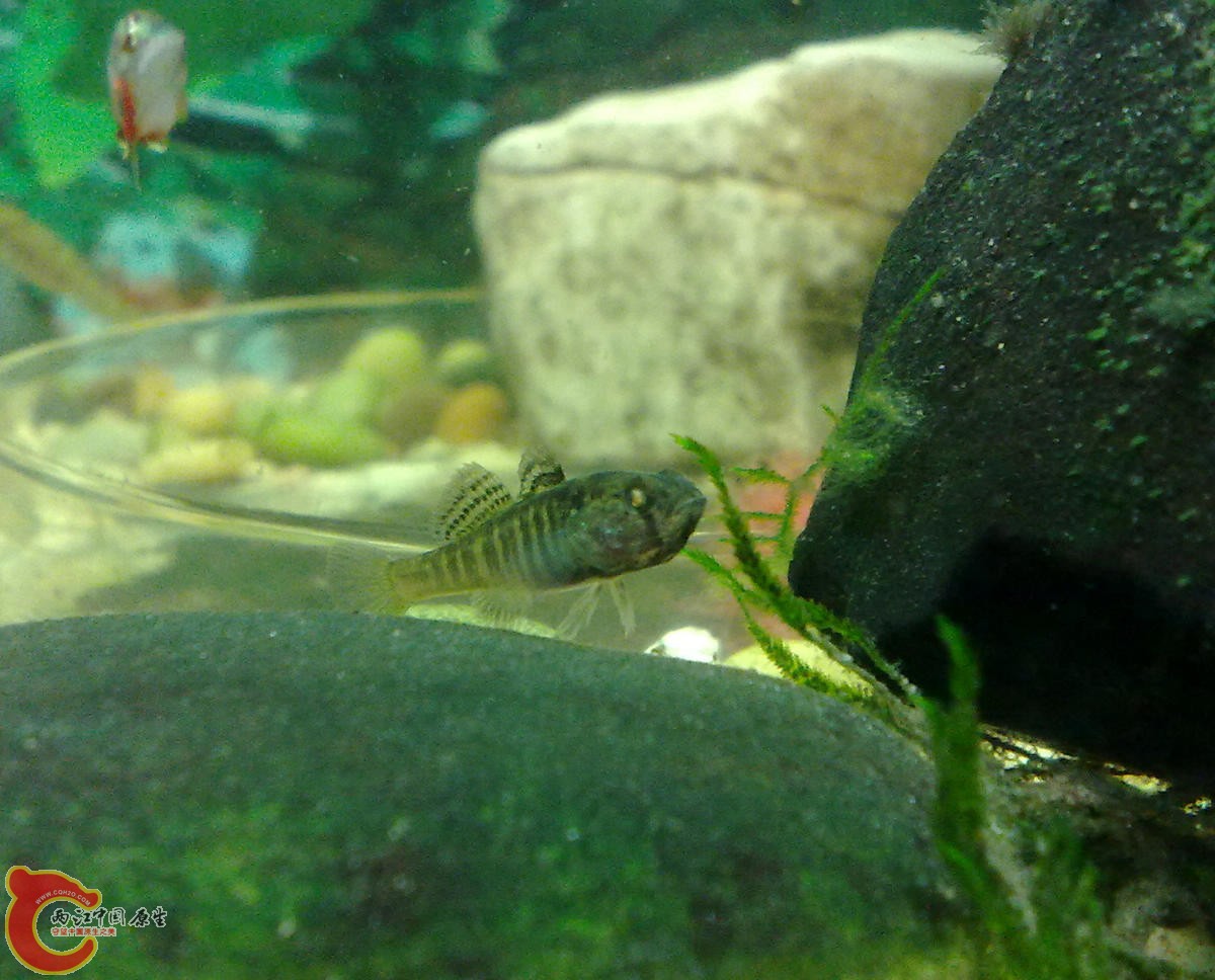 201207186047-.jpg