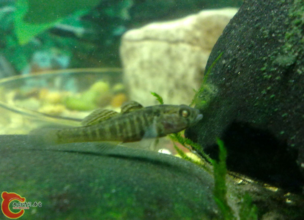 201207186049-.jpg