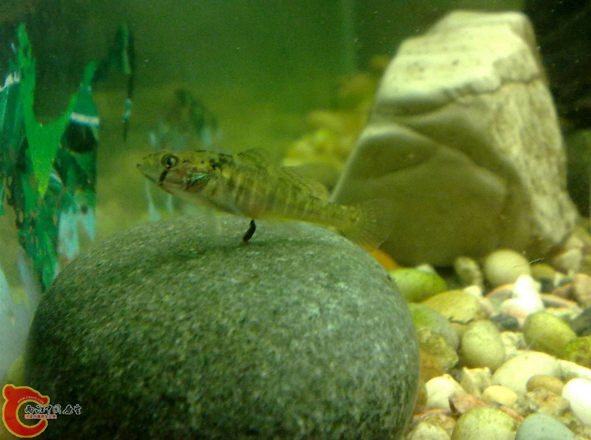 201207186050-.jpg