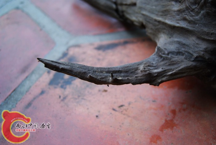 03.jpg