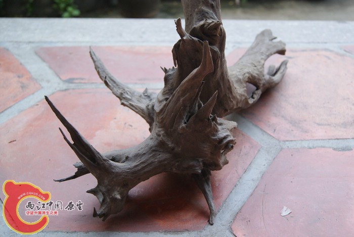 05.jpg
