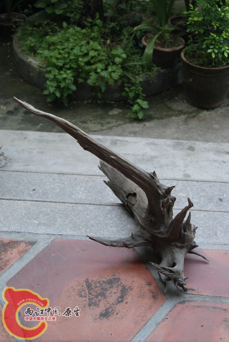 07.jpg