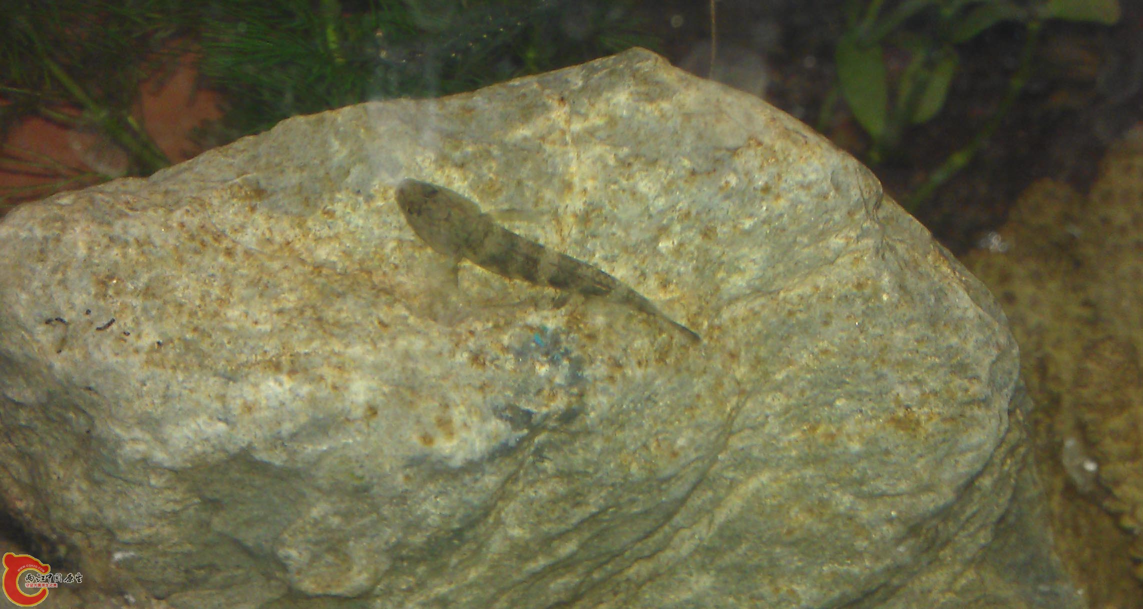 IMAG0972.jpg
