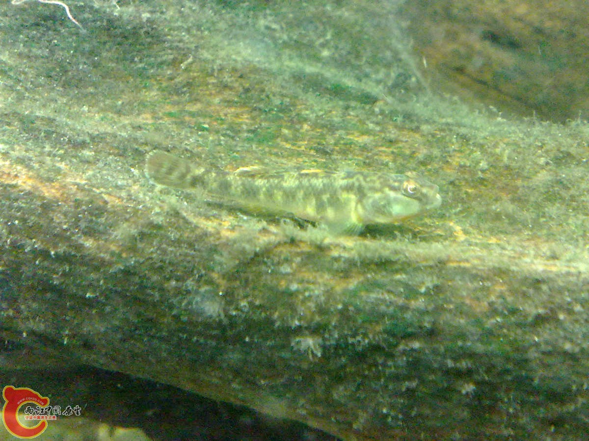201207226134.jpg