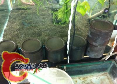 旋转 照片 004.jpg