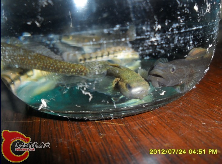 724 (9).jpg