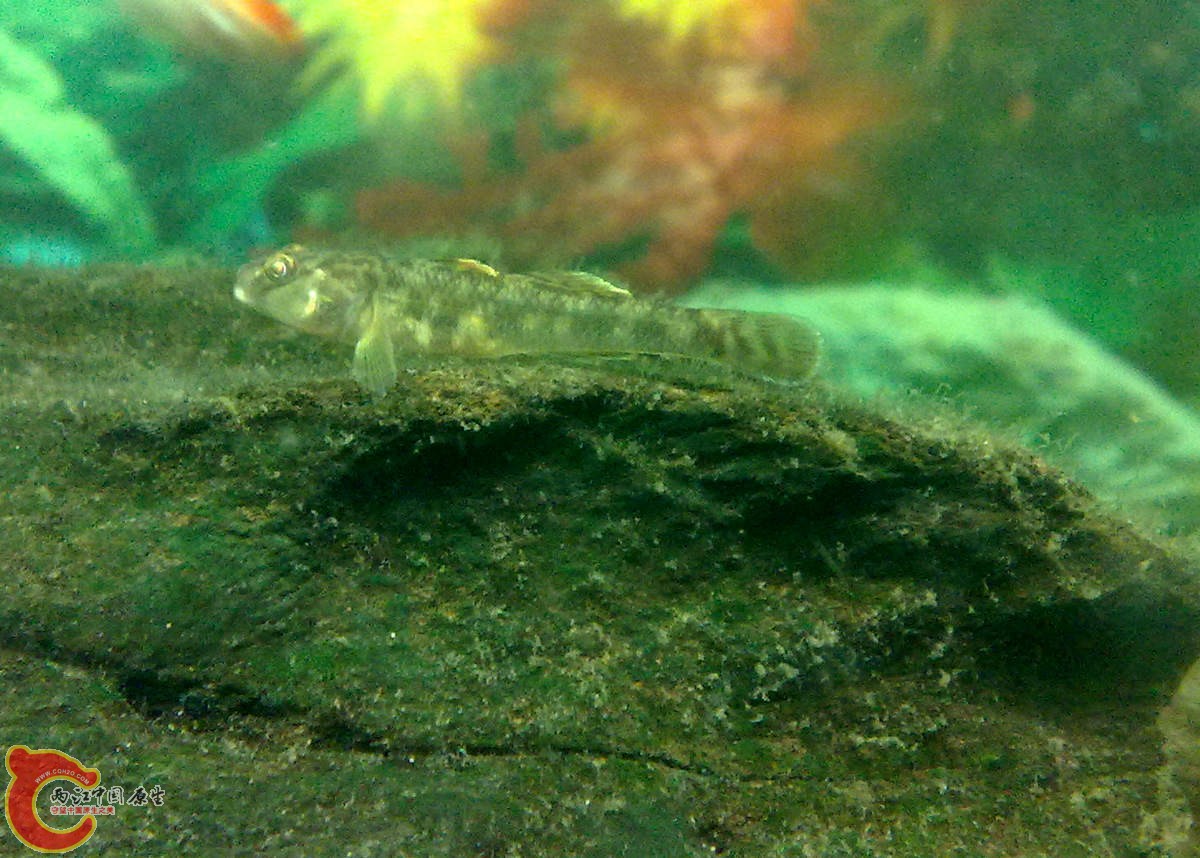 201207206107.jpg