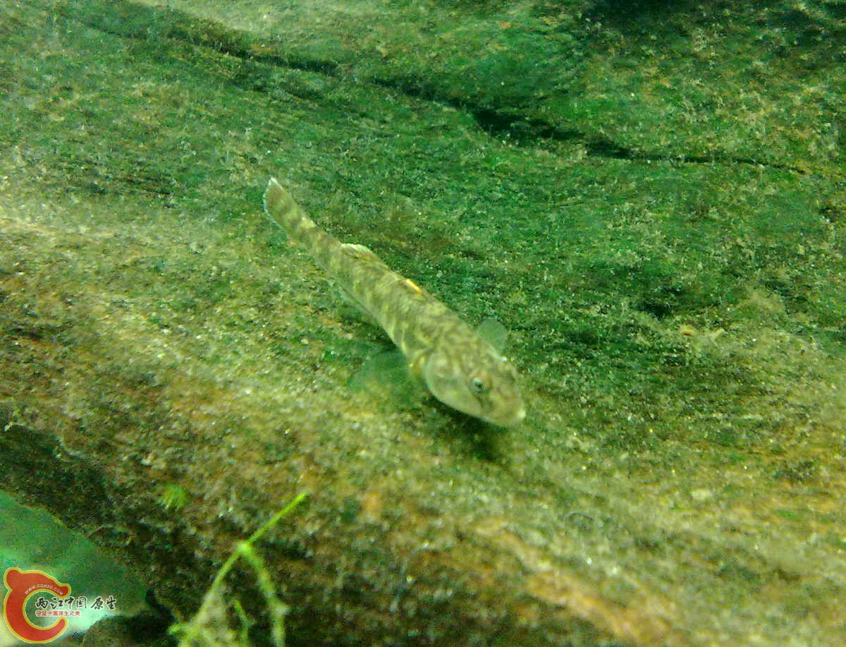 201207206108.jpg