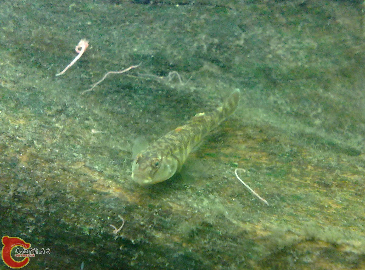 201207226128.jpg