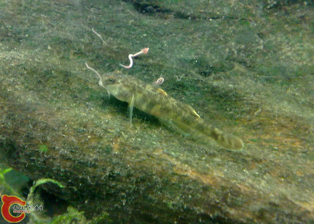 201207226138.jpg