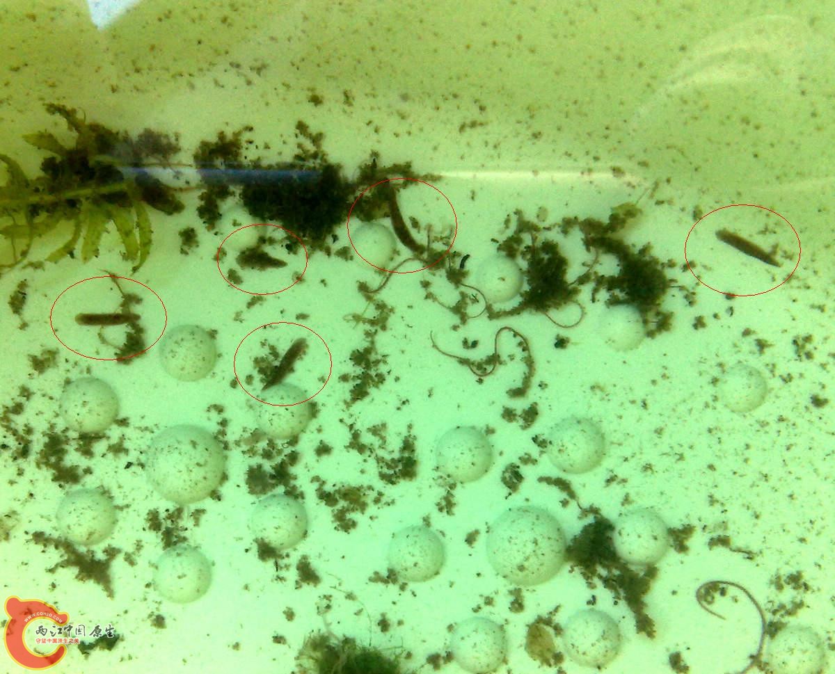 201207286167.jpg