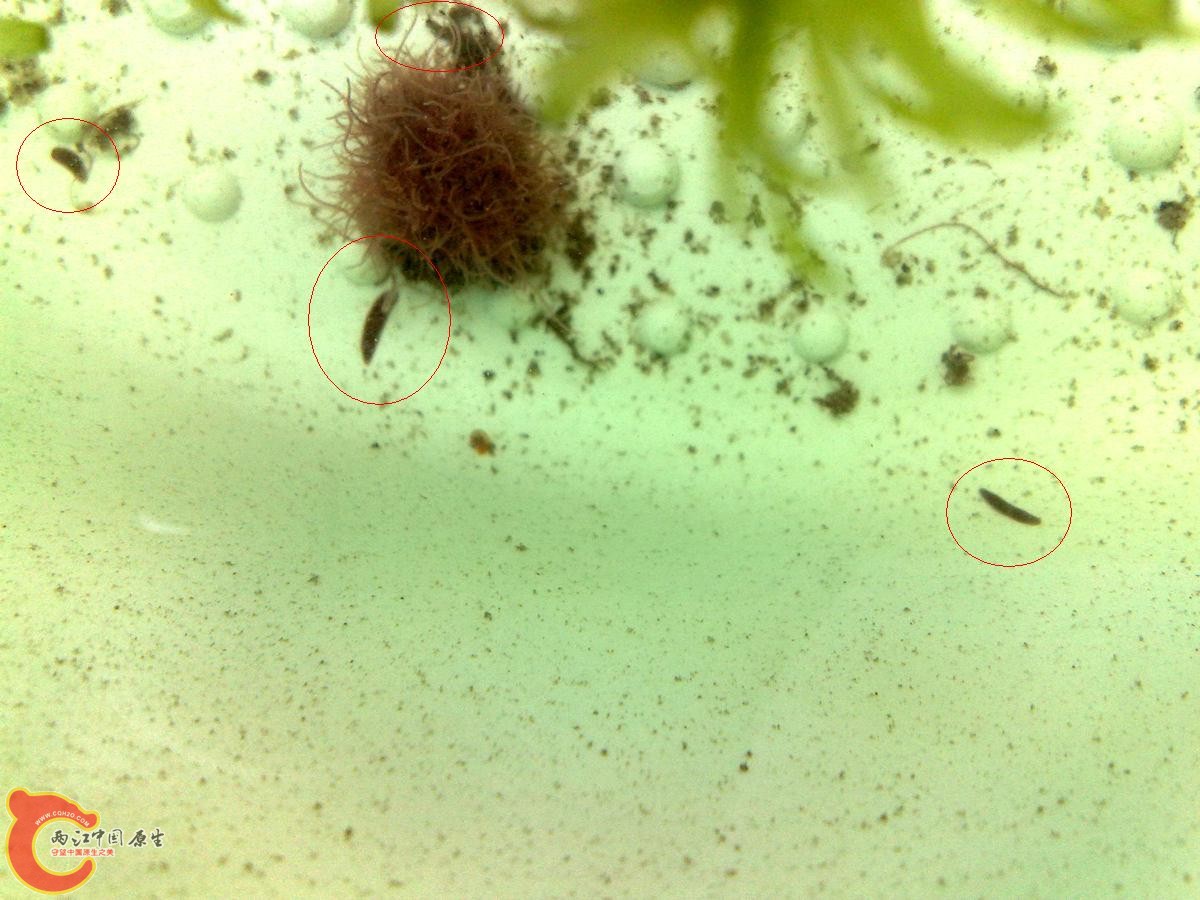 201207286169.jpg