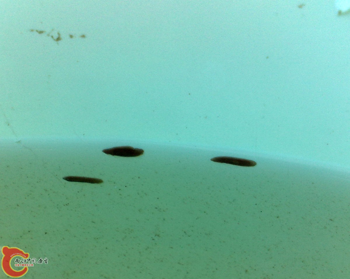 201207286168.jpg