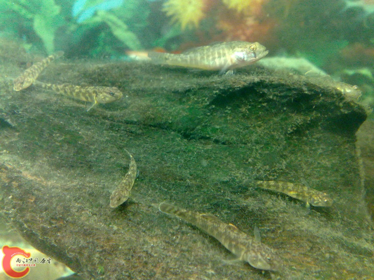 201207276155+.jpg