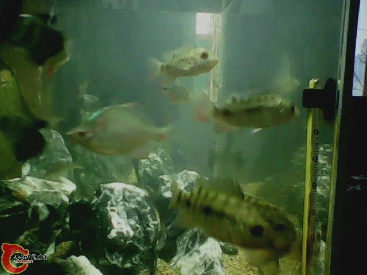 img0727_181849087.jpg