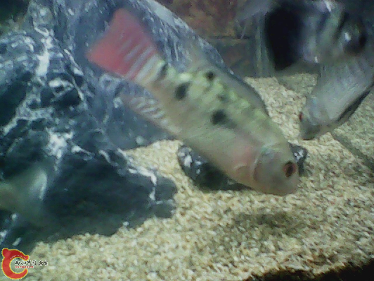 img0727_181636799.jpg