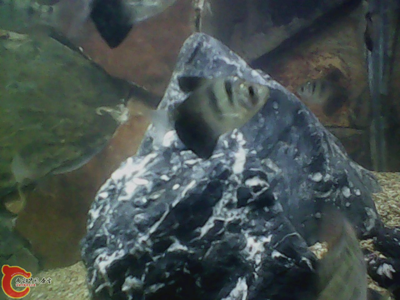 img0727_181750869.jpg