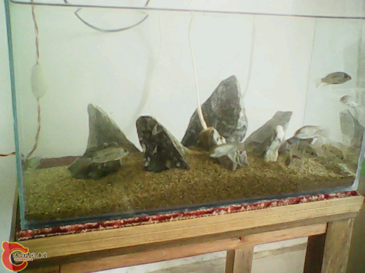 img0512_124434912.jpg