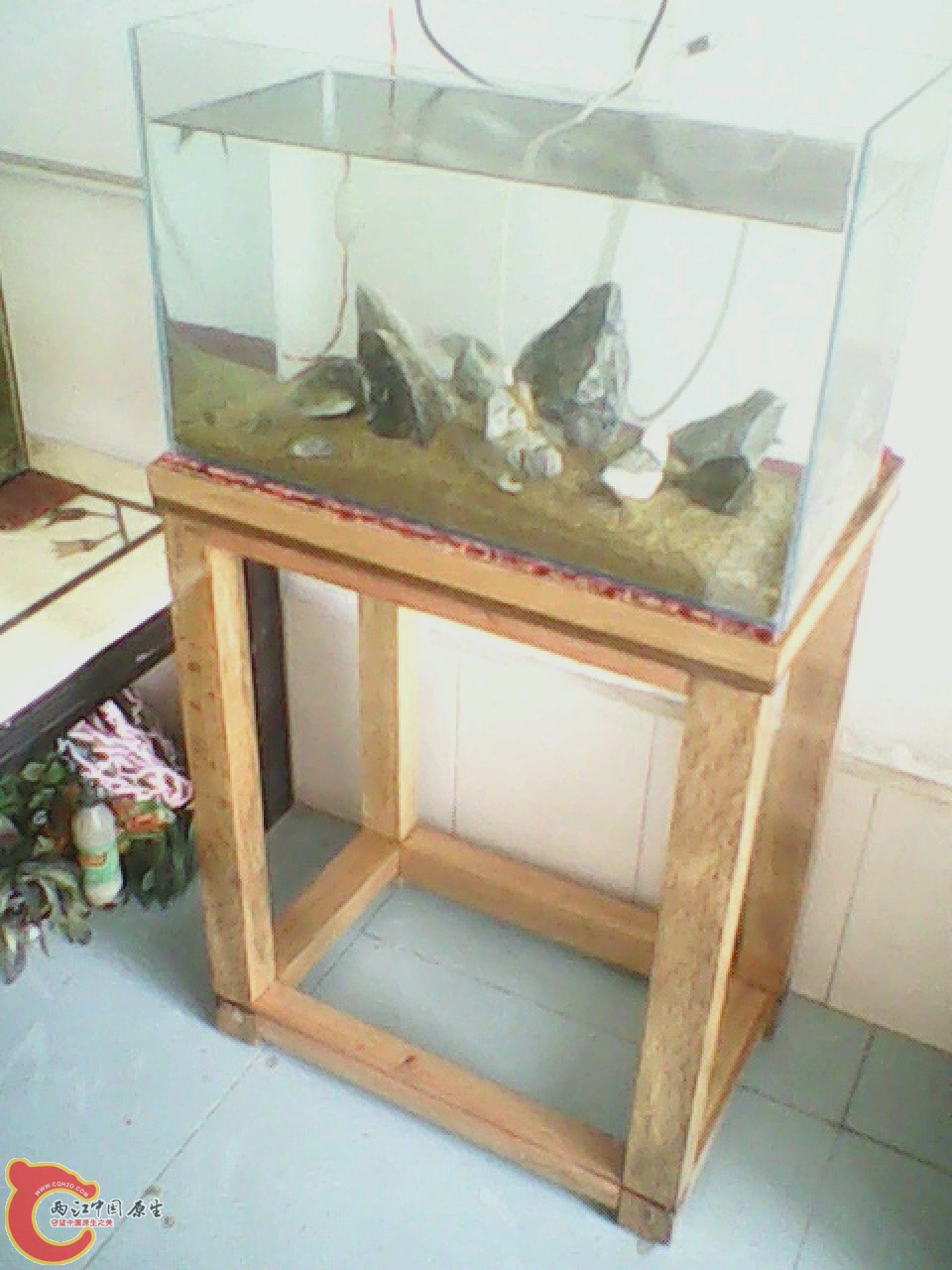 img0512_132347869.jpg