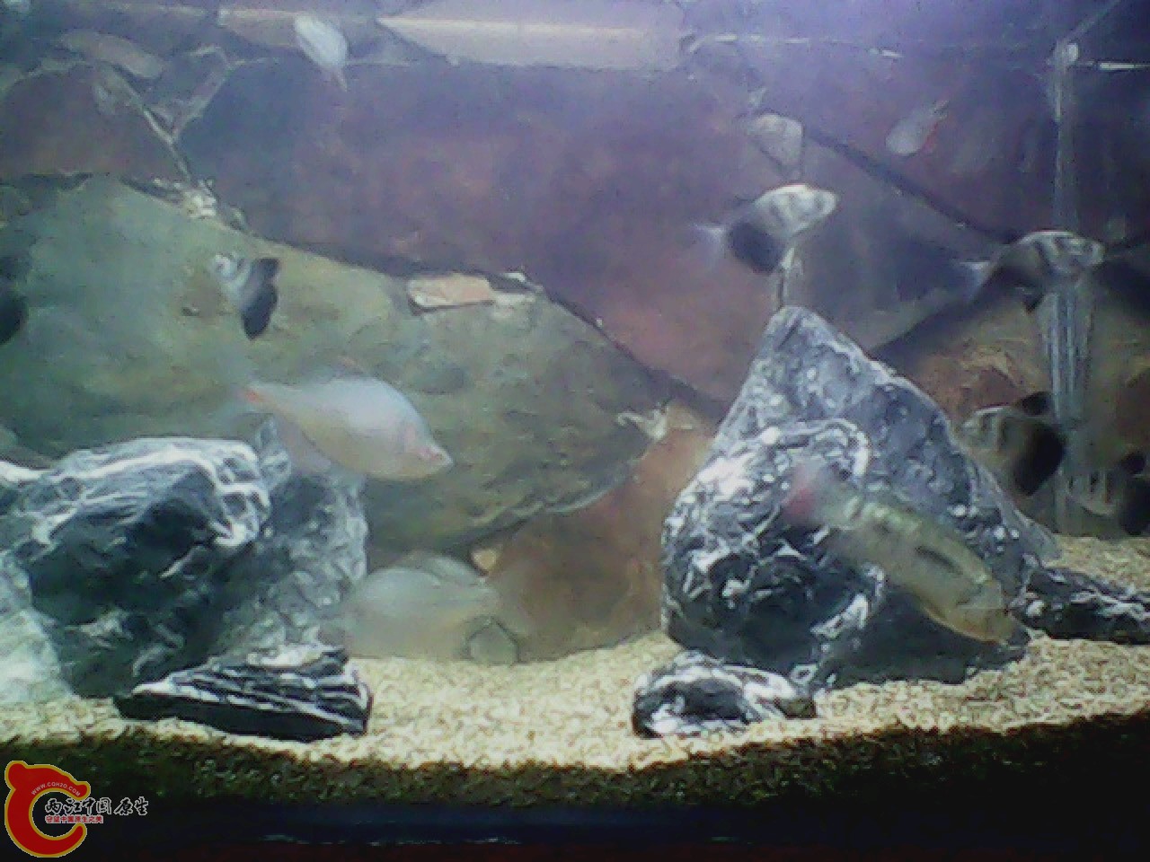 img0727_180918065.jpg