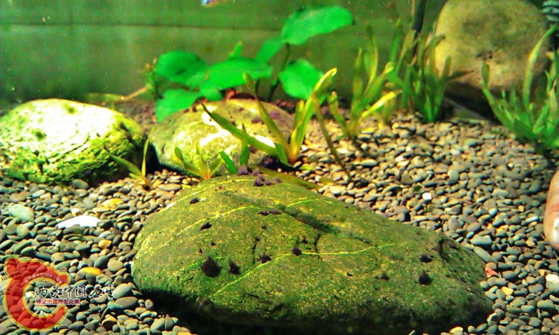 C360_2012-07-29-21-03-08.jpg