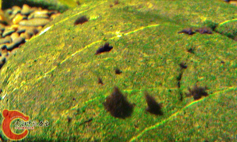 C360_2012-07-29-21-03-39.jpg