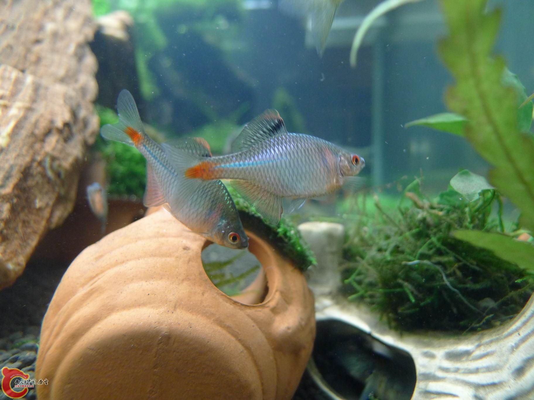 2012 021.jpg