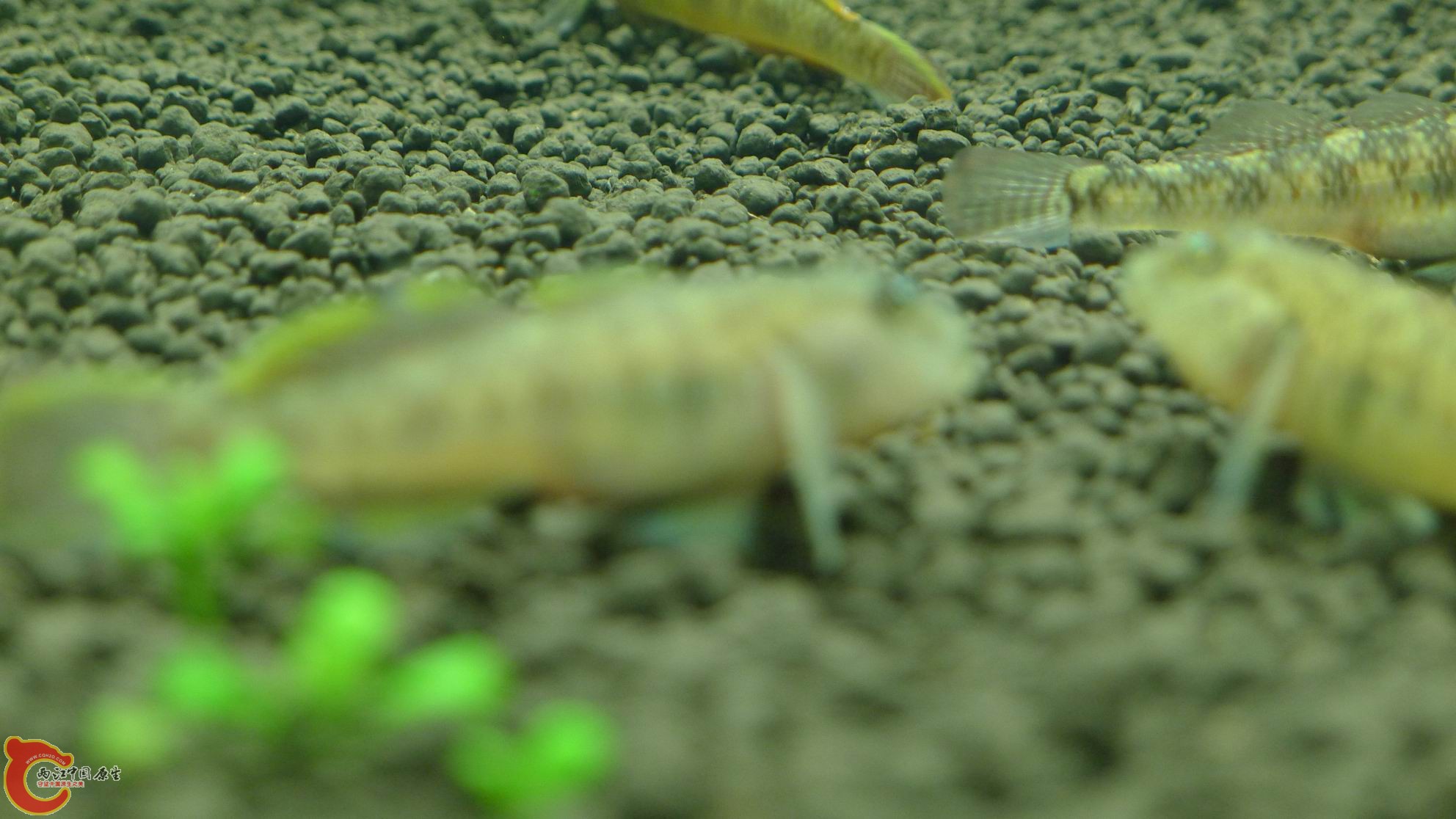 P1000027.JPG