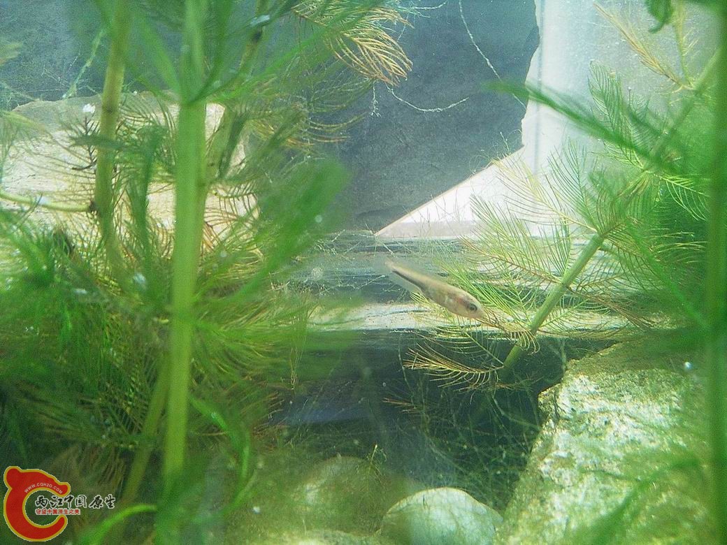 调整大小 照片2709.jpg