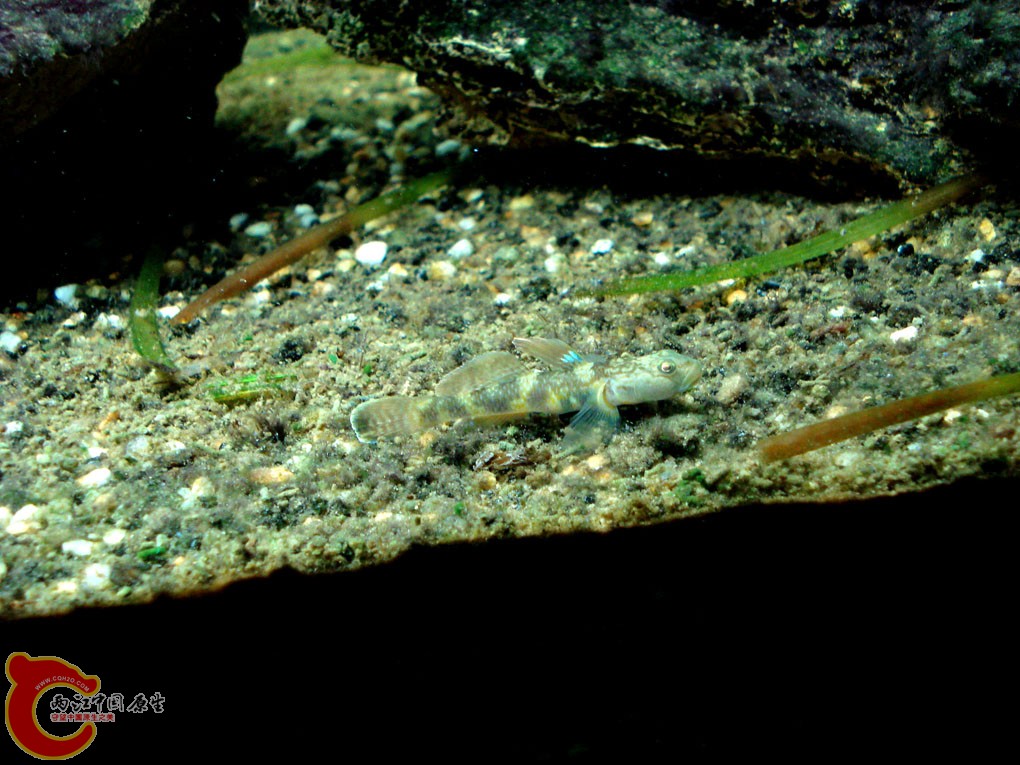 DSC06164.jpg