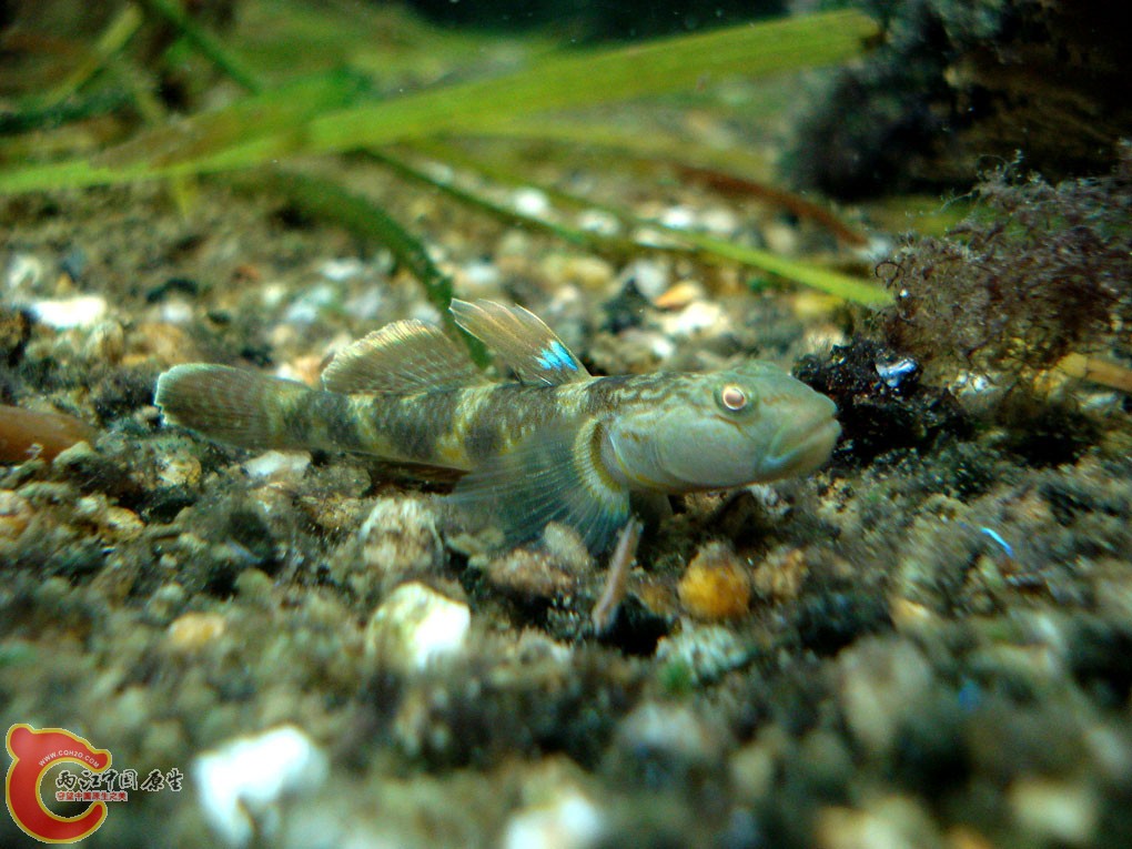 DSC06186.jpg