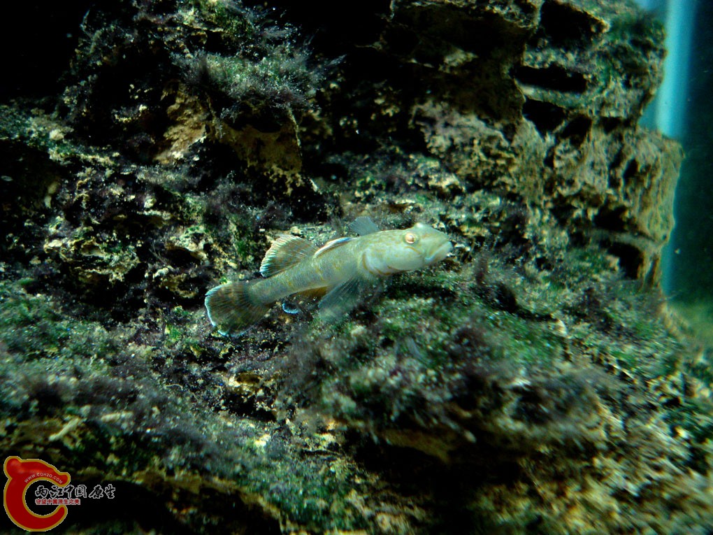 DSC06189.jpg