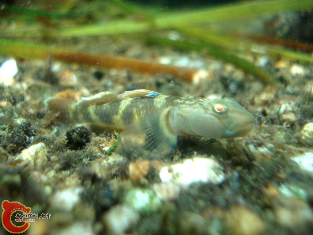 DSC06192.jpg
