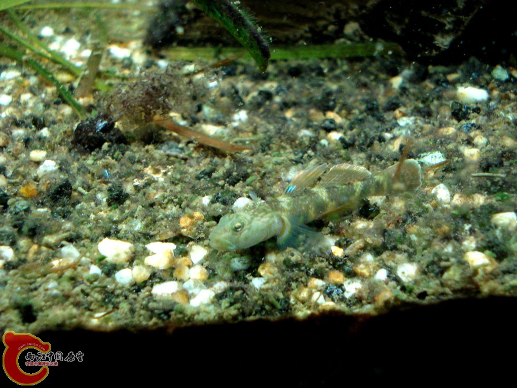 DSC06197.jpg