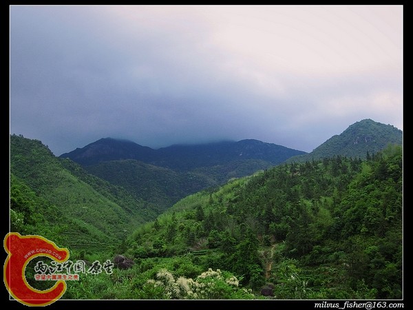 nEO_IMG_38大山.jpg