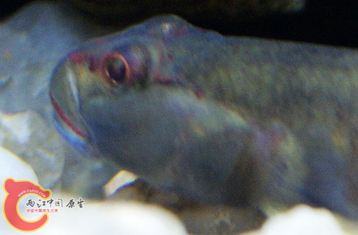 04.jpg