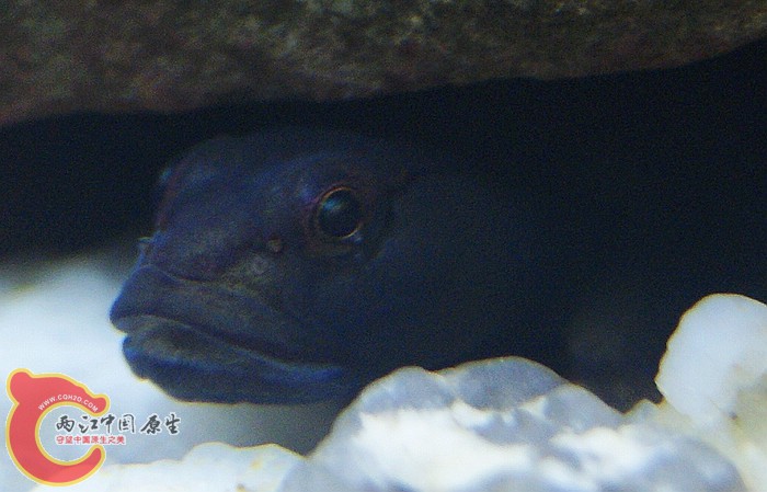 07.jpg